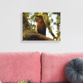 Braunspötter-Vogel Leinwanddruck (Insitu (Wohnzimmer))