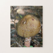 Braunwald Pilznatur Puzzle (Vertikal)