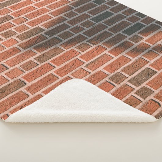 Braunziegelmauer Sherpadecke (3/4)