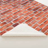 Braunziegelmauer Sherpadecke (3/4)