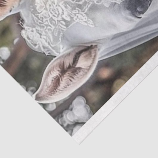 Braut- und Jungpferde - Verheiratung Seidenpapier (Ausschnitt)