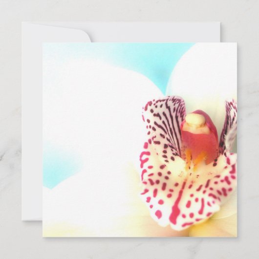 Brautdusche Einladung (Rückseite)