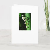 Brautdusche Einladung Lily of the Valley (Rückseite)