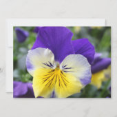 Brautduscheinladung, blaue Pansy-Blume Einladung (Rückseite)