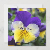 Brautduscheinladung, blaue Pansy-Blume Einladung (Rückseite)