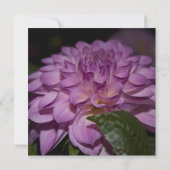 Brautduscheinladung, lila Dahlia Einladung (Rückseite)