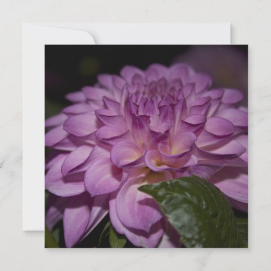 Brautduscheinladung, lila Dahlia Einladung (Rückseite)