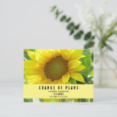Brautparty Änderung der Pläne Sonnenblumen Postkarte (Stehend Vorderseite)