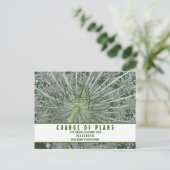 Brautparty-Änderung von Plänen Königin Anne's Lace Postkarte (Stehend Vorderseite)