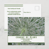 Brautparty-Änderung von Plänen Königin Anne's Lace Postkarte (Vorne/Hinten)