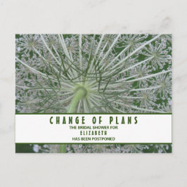 Brautparty-Änderung von Plänen Königin Anne's Lace Postkarte