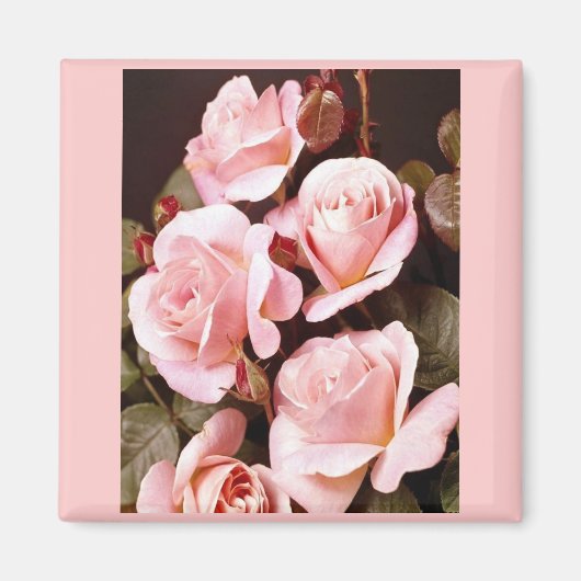 Brautparty-Favoriten Magnet (Vorne)