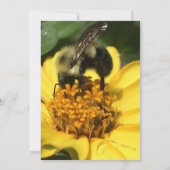 Brautparty für Bienen Einladung (Rückseite)