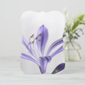 Brautparty Party Destiny's Destiny Einladung (Stehend Vorderseite)