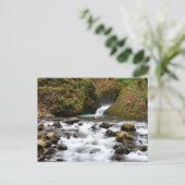 Brautschleier fällt Oregon-Wasserfall-Postkarte Postkarte (Stehend Vorderseite)