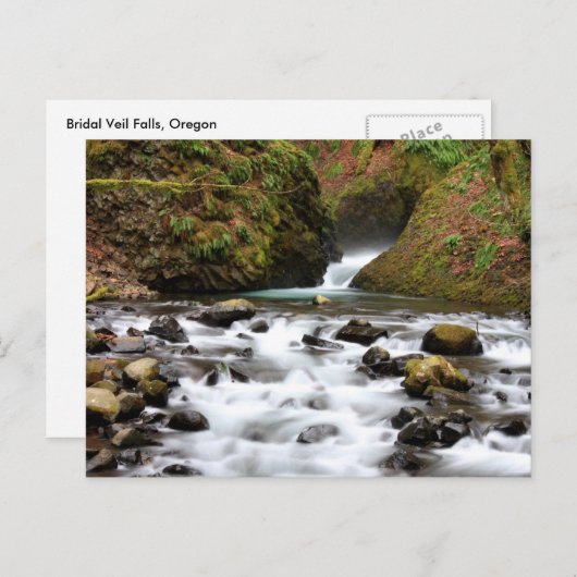 Brautschleier fällt Oregon-Wasserfall-Postkarte Postkarte (Vorne/Hinten)