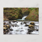 Brautschleier fällt Oregon-Wasserfall-Postkarte Postkarte (Vorderseite)