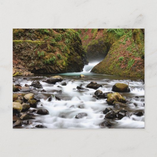 Brautschleier fällt Oregon-Wasserfall-Postkarte Postkarte (Vorderseite)