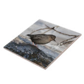 Brave American Dipper Fliese (Seite)