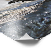 Brave American Dipper Fotodruck (Ecke)