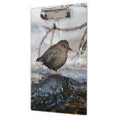 Brave American Dipper Klemmbrett (Links)