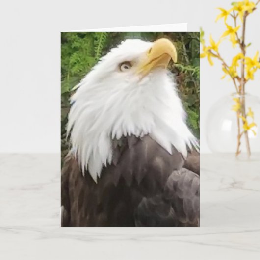 Brave Eagle Greeting Card Karte (Gelbe Blume)