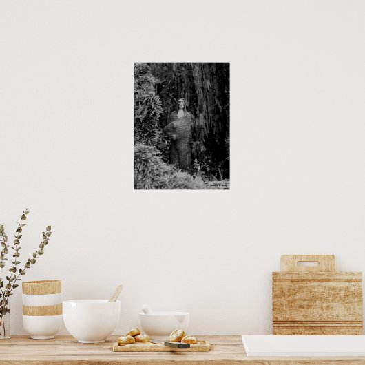 BRAVE POSTER (Küche)