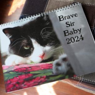 Brave Sir Baby Kalender