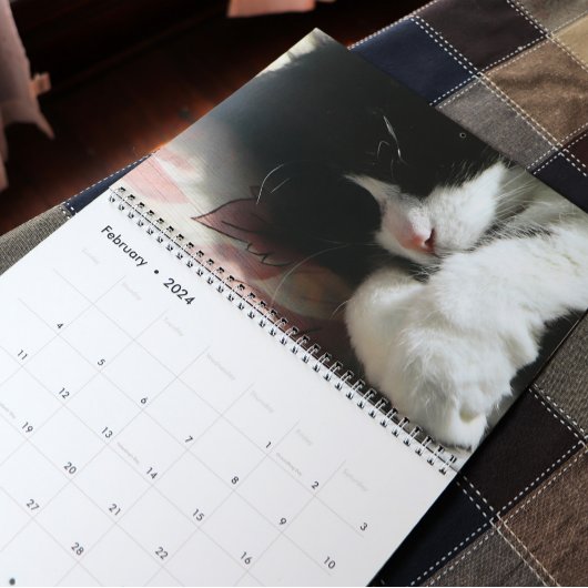 Brave Sir Baby Kalender