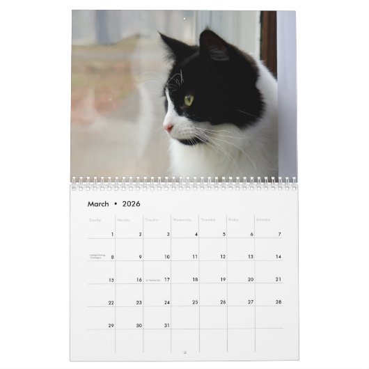 Brave Sir Baby Tuxedo Cat Kalender (Mär 2026)