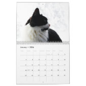Brave Sir Baby Tuxedo Cat Kalender (Jan 2026)