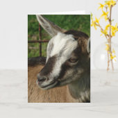 Braveheart Karte (Gelbe Blume)