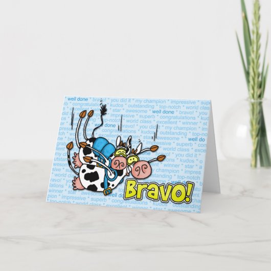 Bravo - skydive Tandem Karte (Vorderseite)