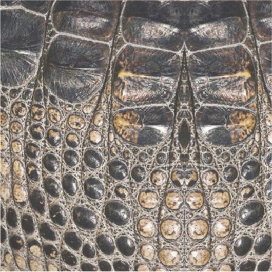 Brawn American Alligator Skin Texture Aufkleber (Vorderseite)