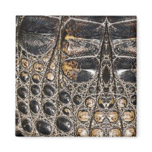 Brawn American Alligator Skin Texture