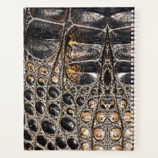 Brawn American Alligator Skin Texture Planer (Rückseite)