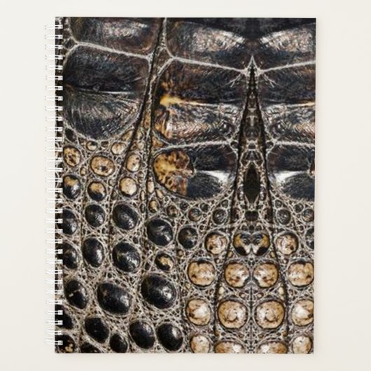 Brawn American Alligator Skin Texture Planer (Vorderseite)