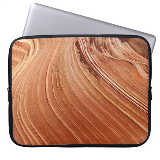 Brawn-Antelope Laptopschutzhülle (Vorderseite)