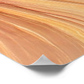 Brawn-Antelope Poster (Ecke)