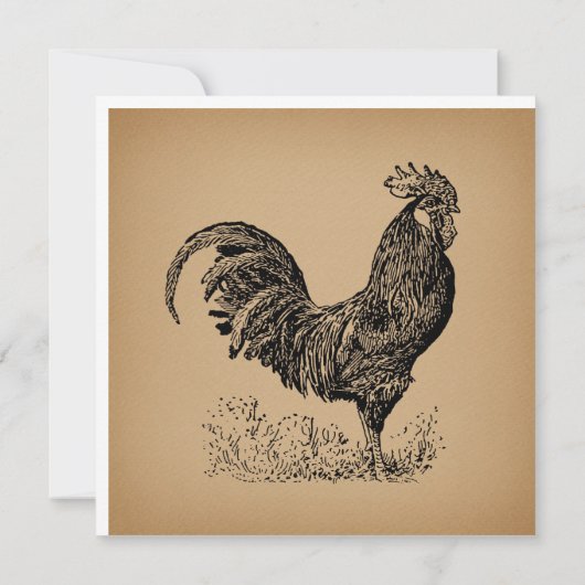 Brawn Antique Rooster Illustration Hühnerart Karte (Rückseite)