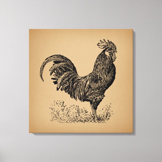 Brawn Antique Rooster Illustration Hühnerart Leinwanddruck (Vorderseite)