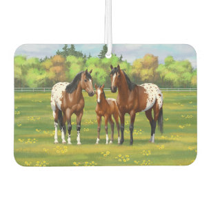 Brawn Bay Appaloosa Pferde im Sommer Weide Autolufterfrischer