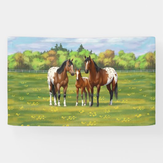 Brawn Bay Appaloosa Pferde im Sommer Weide Banner (Horizontal)