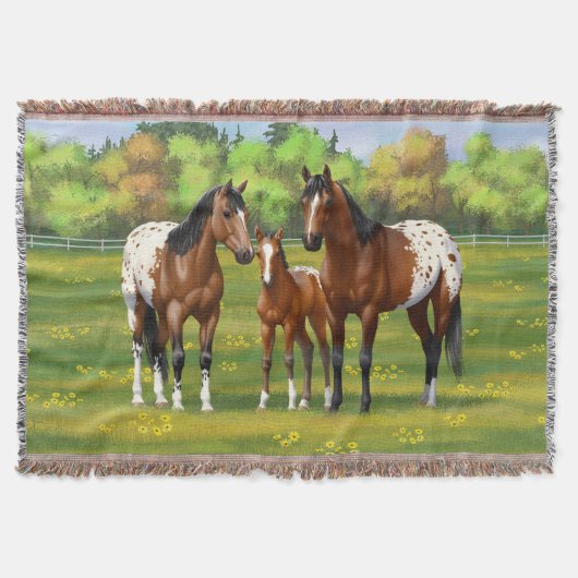 Brawn Bay Appaloosa Pferde im Sommer Weide Decke (Vorderseite)