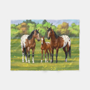 Brawn Bay Appaloosa Pferde im Sommer Weide Fleecedecke