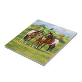 Brawn Bay Appaloosa Pferde im Sommer Weide Fliese (Seite)