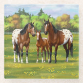 Brawn Bay Appaloosa Pferde im Sommer Weide Glasuntersetzer (Vorderseite)