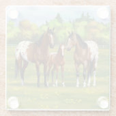 Brawn Bay Appaloosa Pferde im Sommer Weide Glasuntersetzer (Rückseite)