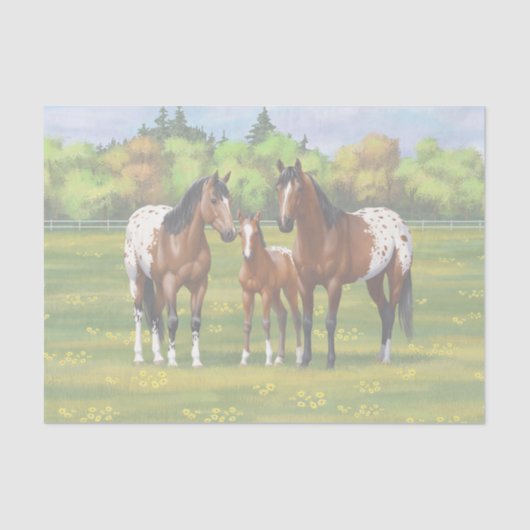 Brawn Bay Appaloosa Pferde im Sommer Weide Seidenpapier (Vorderseite)
