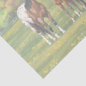 Brawn Bay Appaloosa Pferde im Sommer Weide Seidenpapier (Ausschnitt)